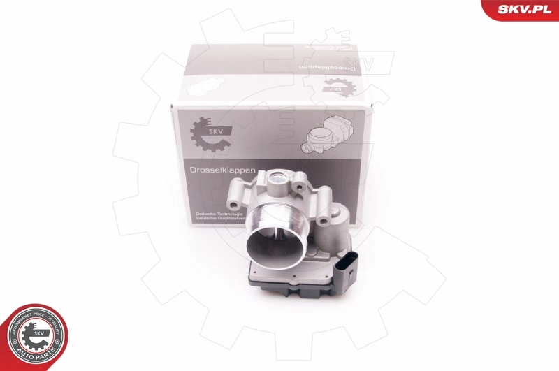 Throttle Body